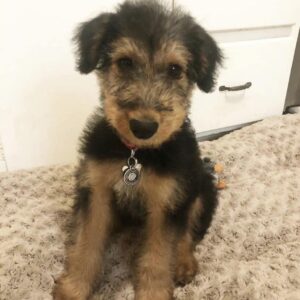 Name: JADEN